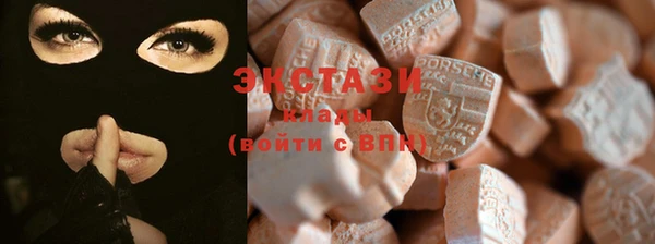 крисы Богородицк