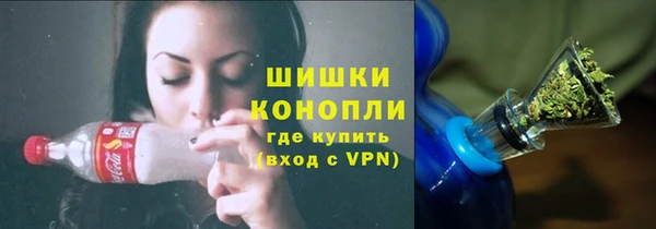 крисы Богородицк