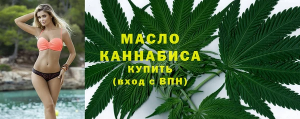 крисы Богородицк