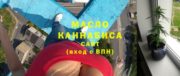 крисы Богородицк