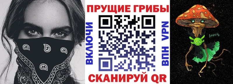 продажа наркотиков  мега онион  Псилоцибиновые грибы Psilocybine cubensis  Реж 