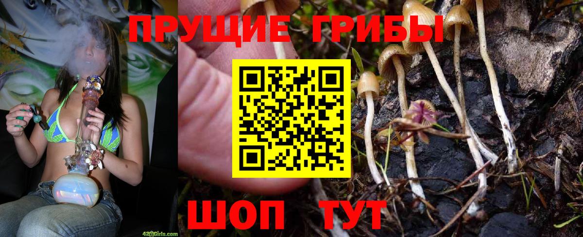 Галлюциногенные грибы мицелий  Вход с VPN  Реж 