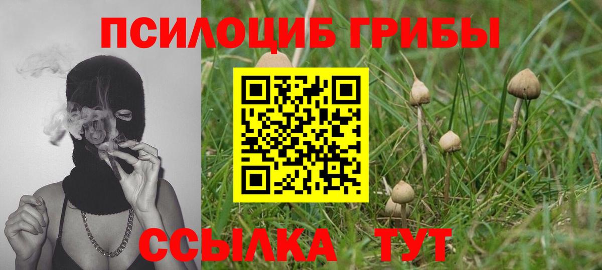 Псилоцибиновые грибы Cubensis Реж